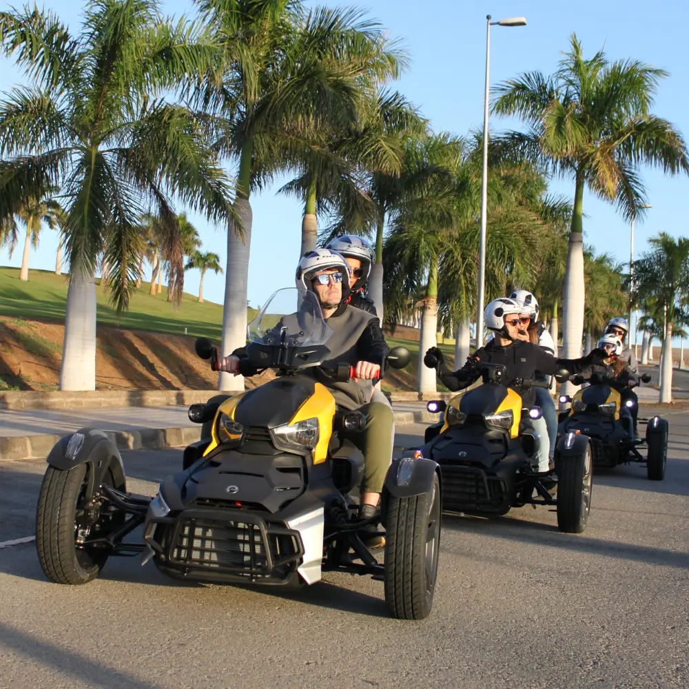 Dicover-the-coast-tourist-discovery-3 People with sunglasses and palm trees driving can-am rykers | canary islands attractions