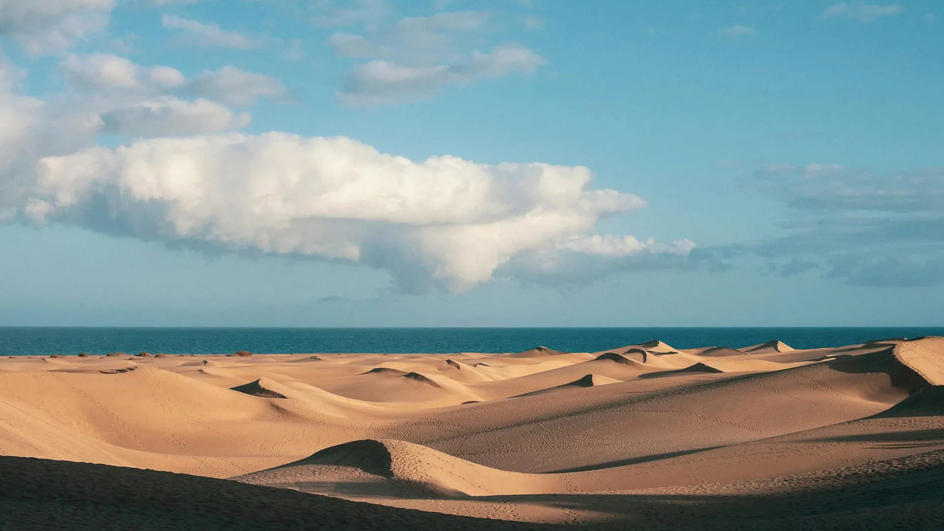 dunes-gran-canaria-canary-islands (1) Dunes gran canaria island