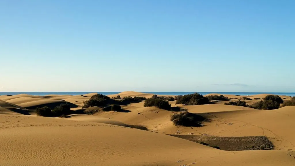 maspalomas san dunes in gran canaria-Tourist Discovery Tours-1920 maspalomas san dunes in gran canaria-Tourist Discovery Tours